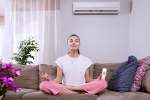 Ductless Mini Split